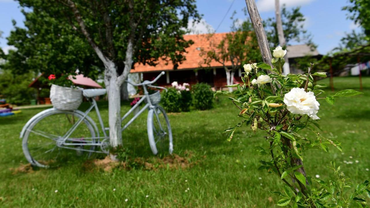 House Luna Rakovica Exterior photo